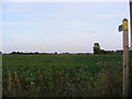 Footpath to the B1077 Winfarthing Road