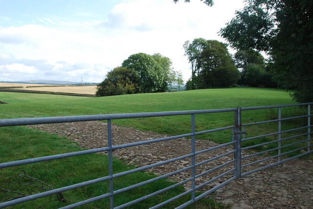 pasture-land-jeff-collins-geograph-britain-and-ireland