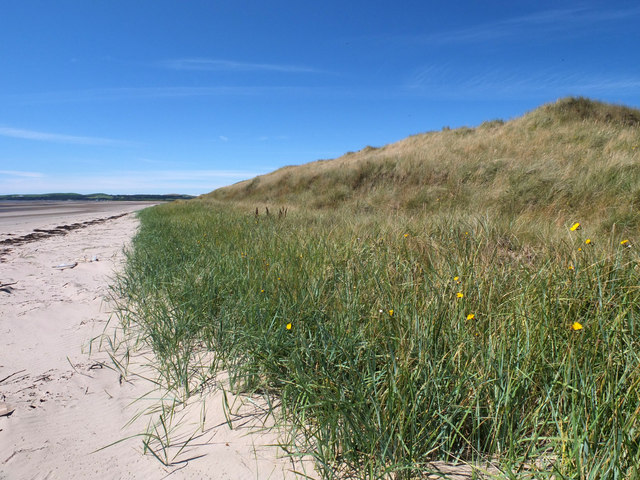 Sand dunes © David Baird :: Geograph Britain and Ireland