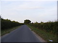 TM0985 : Dog Lane,  Short Green by Geographer