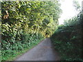 Lane leading towards Broome Mill