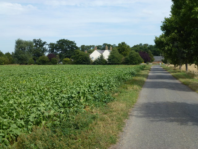 Cooks Lane near Bruces Castle Farm