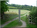 Chipstead Bottom looking up to Banstead Wood