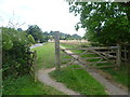 Chipstead Bottom looking towards 