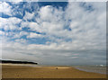 NJ0365 : Sun, sky, sand -- and our dog -- at Findhorn by Julian Paren