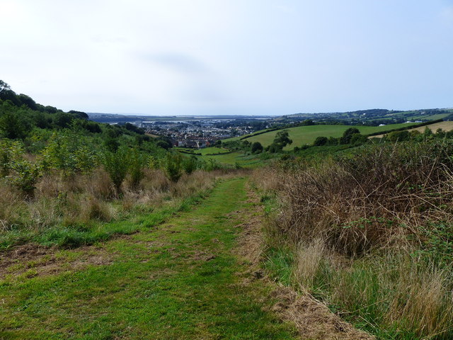 Yeo Valley Woodland from the top of the hill