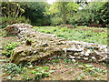 Shotesham St. Botolph ruin