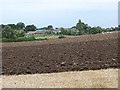 Gulls on freshly ploughed field