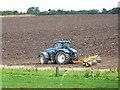 Rolling a newly ploughed field