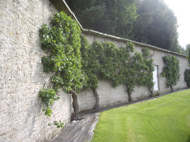 Garden wall at Eggleston Hall