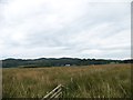 Looking across the moor to Barsloisnoch, Argyll