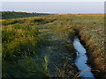 TF6329 : Salt marsh along The Wash coast by Mat Fascione