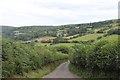 Lane near Great Gott