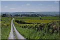 Track past Penglais Farm