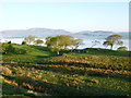 Early morning mist over Bala lake