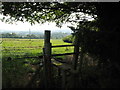 Footpath through fields