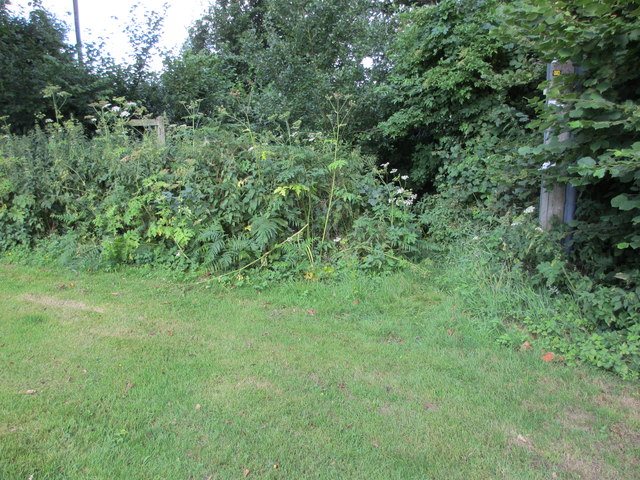 Exit from West Chiltington Golf Course © Peter Holmes :: Geograph ...