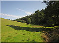 Ridge and Valley Walk below Southcott Wood