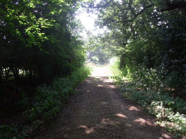 Monarch's Way track to B4090