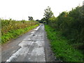 Track leading to Oak Tree Farm