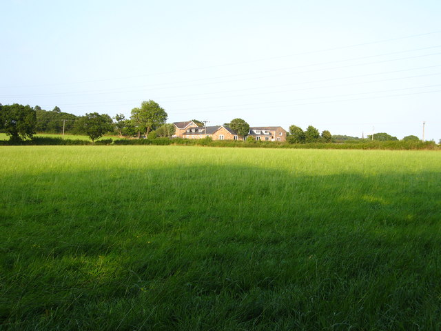 Field west of Ash Tree Farm