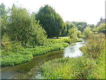 SU0926 : The River Ebble, Stratford Tony by John Lord