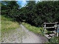 Riverside track towards Ferndale