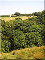 Farm buildings near Thurle