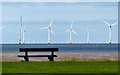 A seat to view the wind farm in Liverpool Bay