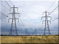 Pylons near Alloa