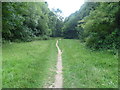 Path on Banstead Heath