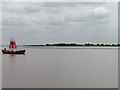 SE9125 : Upper Whitton Float, on a falling tide by Christine Johnstone