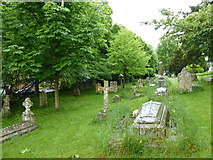 ST9917 : St Mary, Sixpenny Handley: churchyard (b) by Basher Eyre
