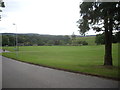 A football pitch, Seafield Park