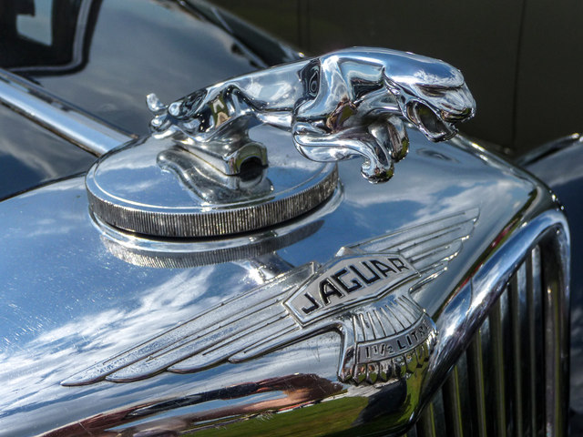 Early Jaguar Emblem on Car Bonnet at... © Christine Matthews cc-by-sa/2