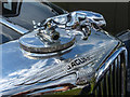 Early Jaguar Emblem on Car Bonnet at Cuffley Steam and Heavy Horse Event