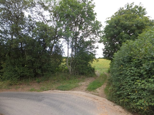 Field entranceway south of Broadwoodkelly