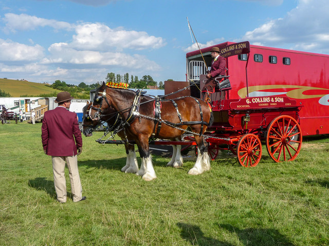 Shire Horses, Cuffley Steam and Heavy Horse Fair