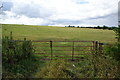 SE4185 : Field of sheep opposite Street House Farm by Bill Boaden