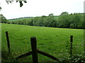 Field adjacent to the churchyard, Ebbesbourne Wake