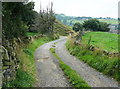 Driveway to Heywoods Farm