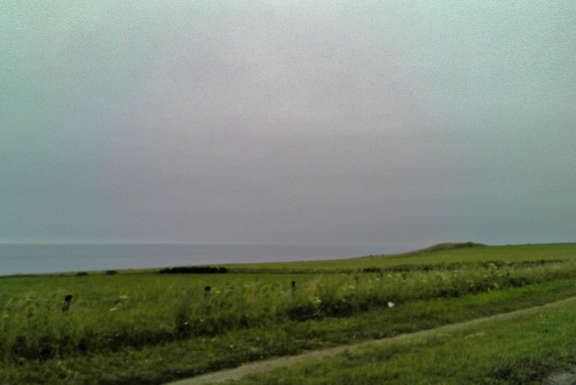 Coastal terrace above Long Meg