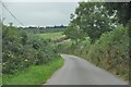 Mid Devon : Country Lane