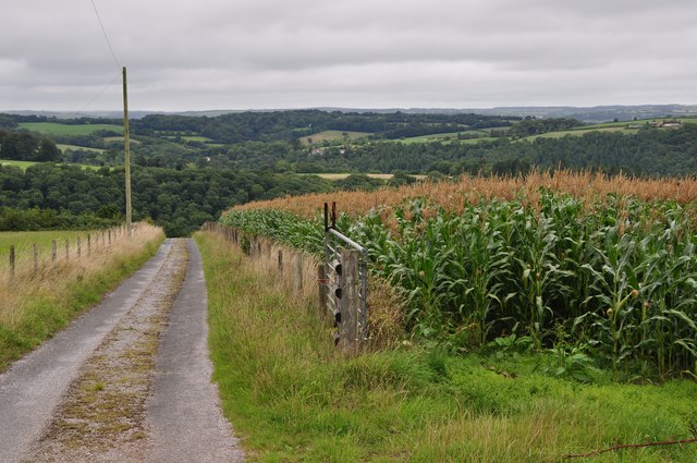 Mid Devon : Ashcombe Farm Track
