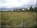 Rough grazing on the edge of Huntly