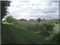 The Stainforth and Keadby canal