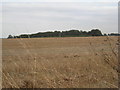 View towards Warter Farmhouse