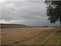 SE9149 : The Yorkshire Wolds by Jonathan Thacker