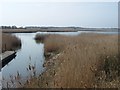 Hickling Broad