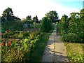 Allotments off Wheeler